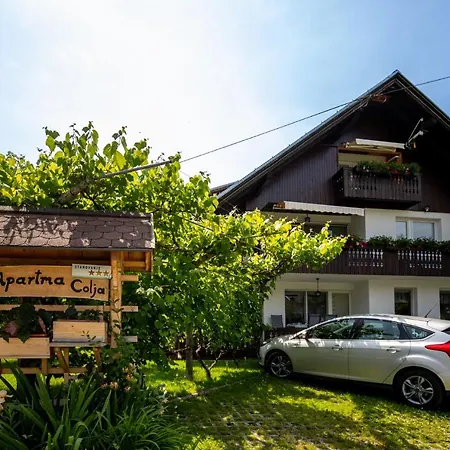 Apartment Apartmaji Colja Bohinj